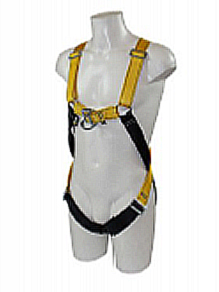 PPE and Fall Protection Maintenance and Inspection